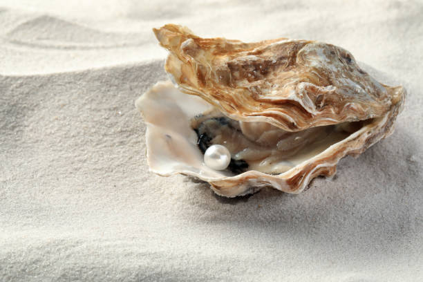 Freshwater vs. Baroque Pearls – What’s the Difference?