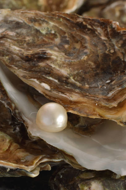 Pearls for Men – Why Freshwater Pearls Are the New Statement Ring